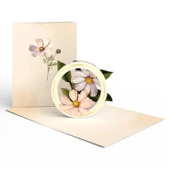 Lovepop Value Packs|Just Because|Beautiful Botanicals Box Set (Assorted 12-Pack): Paperpop® Card