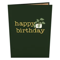 Lovepop Greeting Cards|Birthday|Birthday Houseplants Pop-Up Card