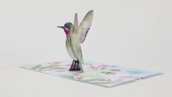 Lovepop Greeting Cards|Birthday|Birthday Hummingbird Pop-Up Card