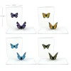 Kids Lovepop Notecards|Get Well|Butterfly Notecards (Assorted 4-Pack)