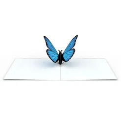 Kids Lovepop Notecards|Get Well|Butterfly Notecards (Assorted 4-Pack)