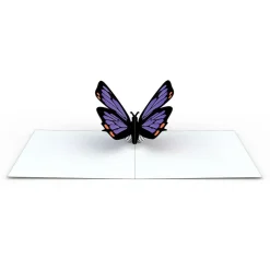 Kids Lovepop Notecards|Get Well|Butterfly Notecards (Assorted 4-Pack)