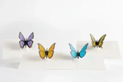 Kids Lovepop Notecards|Get Well|Butterfly Notecards (Assorted 4-Pack)