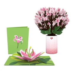Lovepop Pop-Up Bouquets|Card & Gift Bundles|Cherry Blossom & Lily Bloom Bundle
