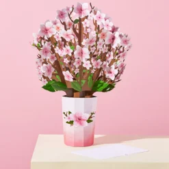 Lovepop Pop-Up Bouquets|Decor|Cherry Blossom Bouquet