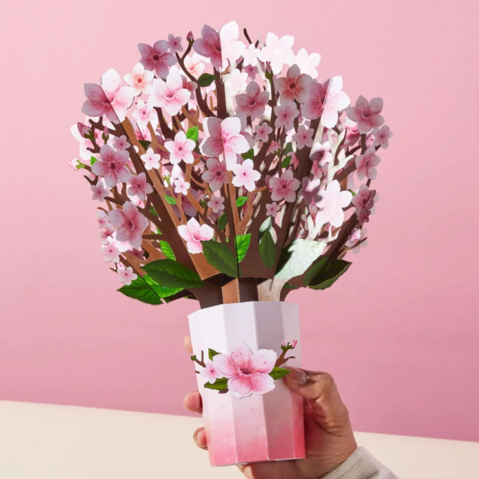 Lovepop Pop-Up Bouquets|Decor|Cherry Blossom Bouquet