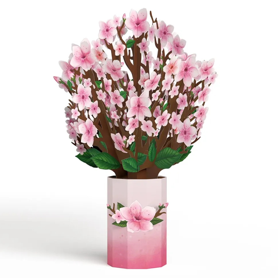 Lovepop Pop-Up Bouquets|Decor|Cherry Blossom Bouquet