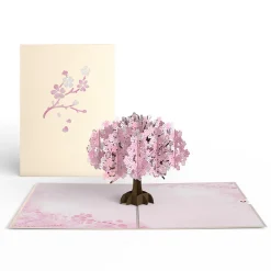 Women Lovepop Greeting Cards|Birthday|Cherry Blossom Pop-Up Card
