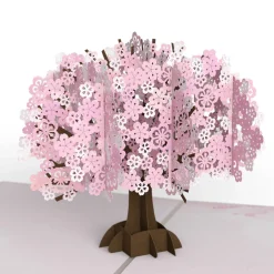 Women Lovepop Greeting Cards|Birthday|Cherry Blossom Pop-Up Card