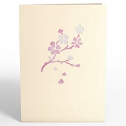 Women Lovepop Greeting Cards|Birthday|Cherry Blossom Pop-Up Card