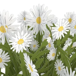 Lovepop Pop-Up Bouquets|Anniversary|Daisy Bouquet