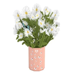 Lovepop Pop-Up Bouquets|Anniversary|Daisy Bouquet
