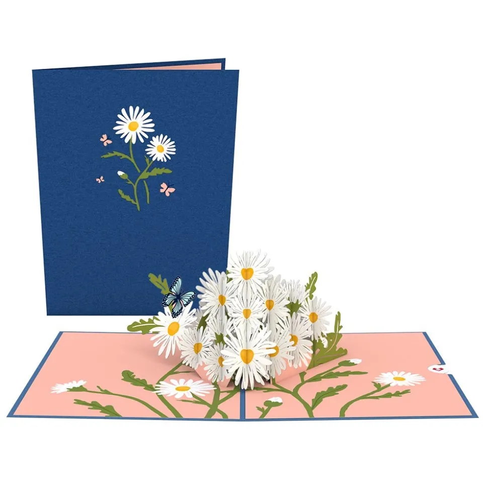 Lovepop Pop-Up Bouquets|Card & Gift Bundles|Daisy Bundle