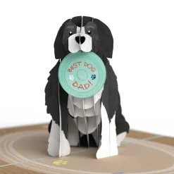 Lovepop Father'S Day 6/15|Dad|Fetching Father’s Day Dog Pop-Up Card