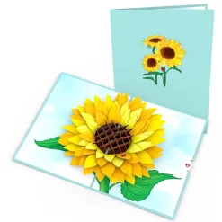 Lovepop Value Packs|Just Because|Floral 7-Pack