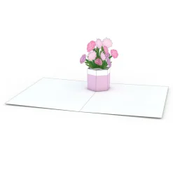 Lovepop Notecards|Get Well|Flower Pot Notecards (Assorted 4-Pack)