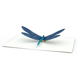 Lovepop Notecards|Congratulations|Garden Notecards (Assorted 4-Pack)
