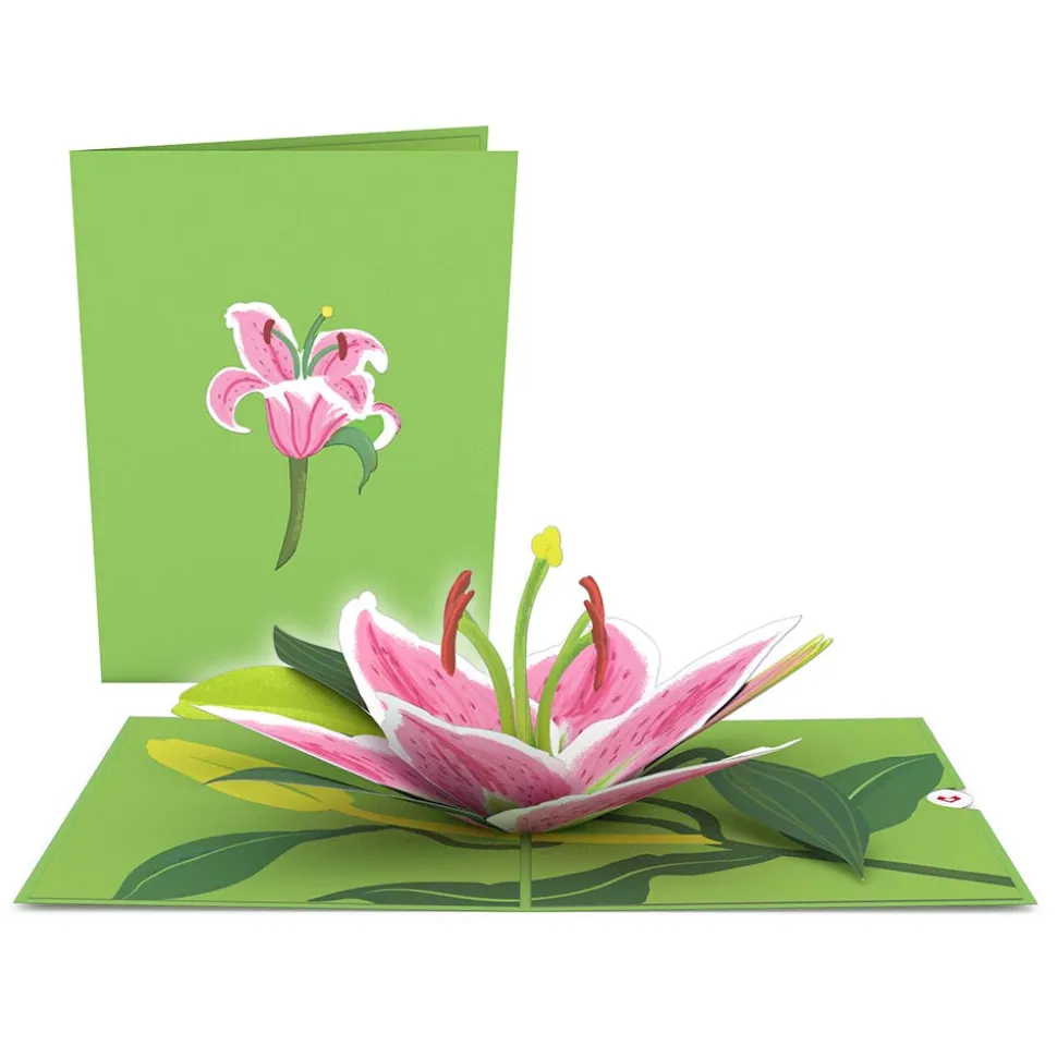 Lovepop Value Packs|Just Because|Garden 12-Pack