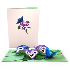 Lovepop Value Packs|Just Because|Garden 12-Pack