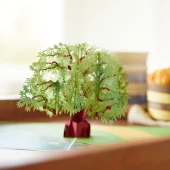 Lovepop Greeting Cards|Just Because|Green Maple Tree Pop-Up Card