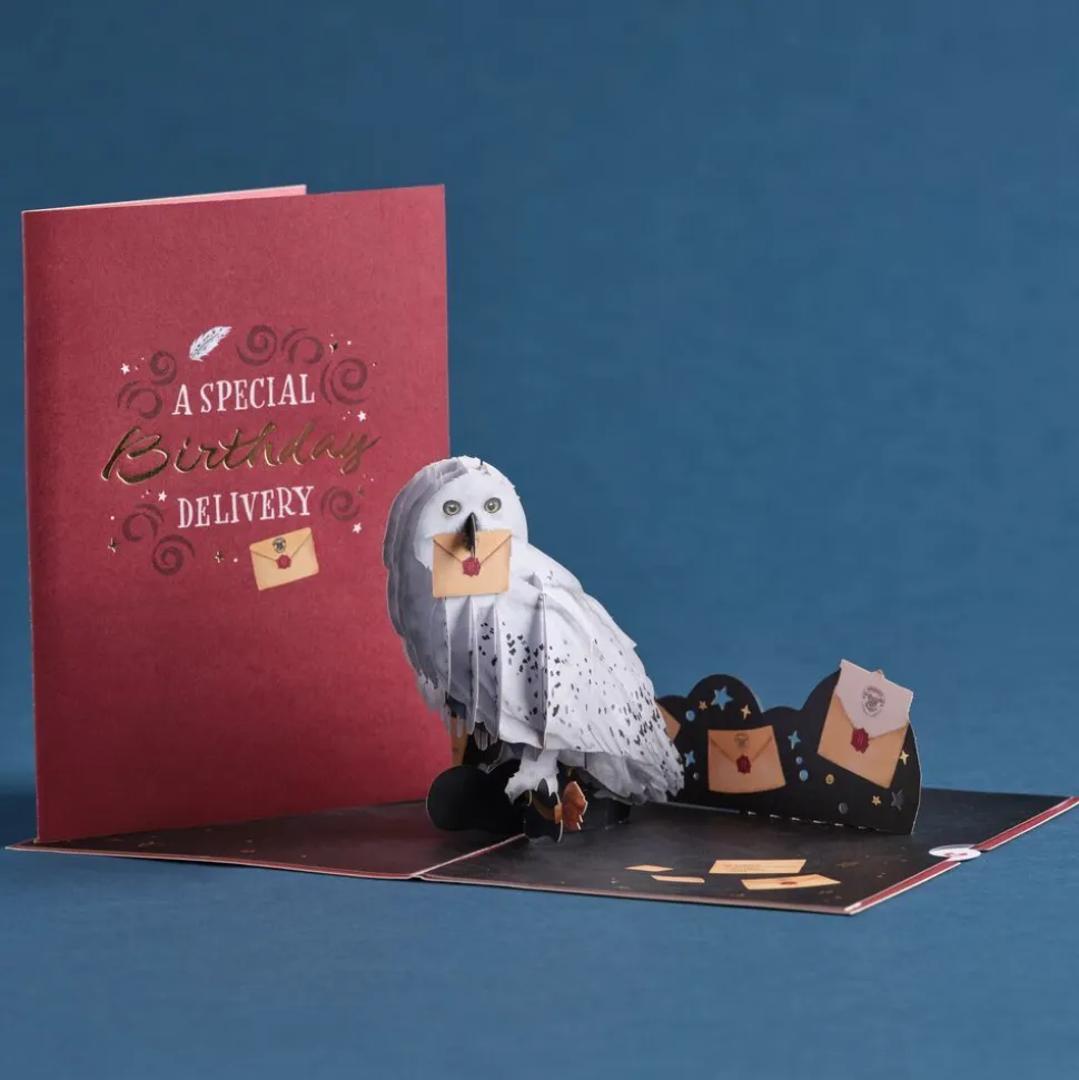 Lovepop Greeting Cards|Birthday|Harry Potter™ Hedwig™ Birthday Delivery Pop-Up Card