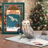 Lovepop Greeting Cards|Christmas 12/25|Harry Potter™ Hedwig™ Holiday Magic Pop-Up Card
