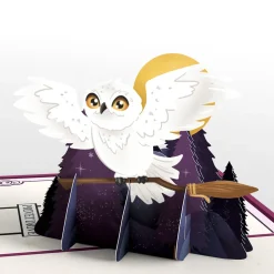 Kids Lovepop Valentine'S Day 2/14|Kids|Harry Potter™ Magical Valentine's Day 4-in-1 Nesting Card