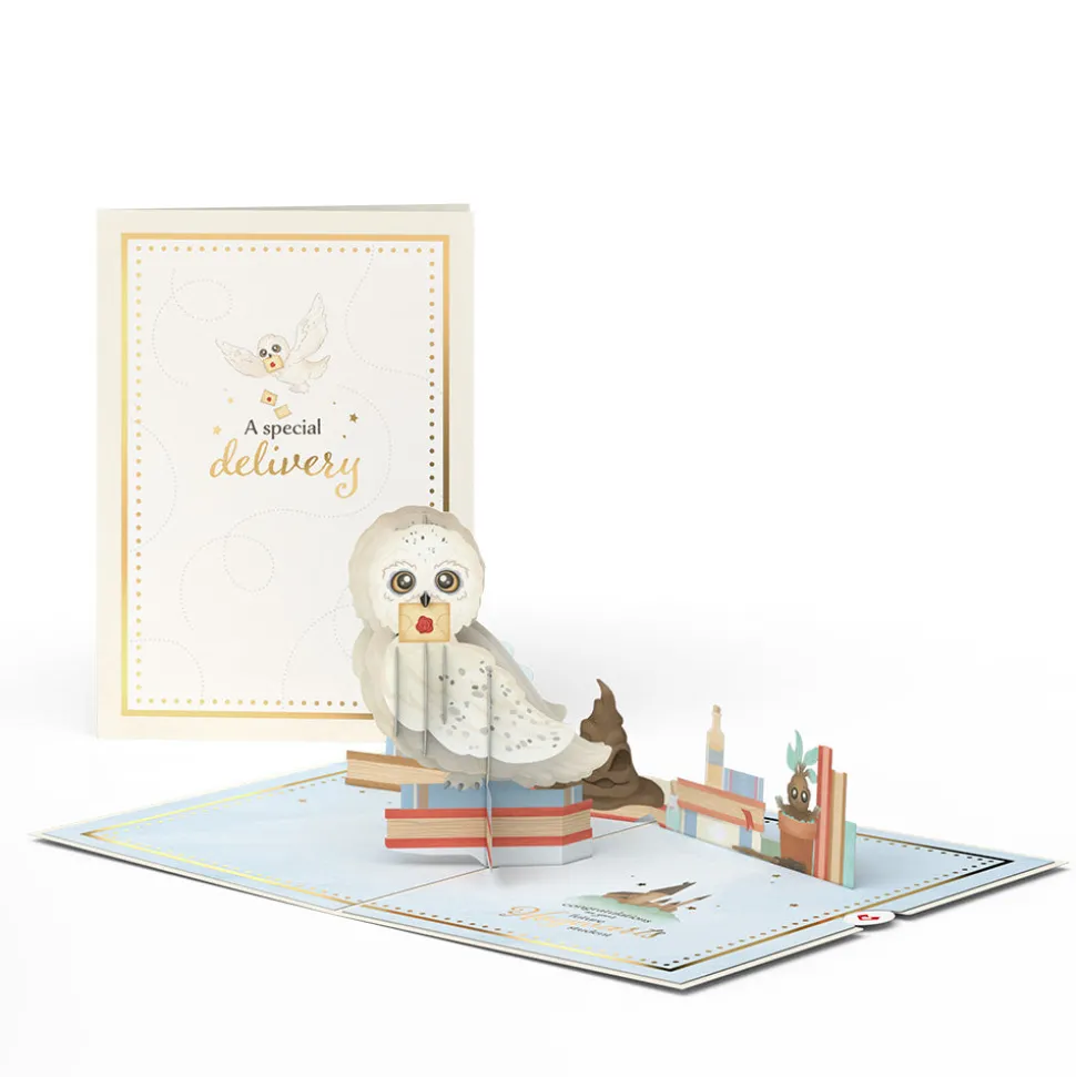 Lovepop Baby|Congratulations|Harry Potter™ Special Delivery Baby Pop-Up Card