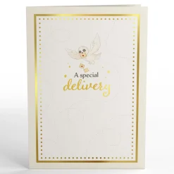 Lovepop Baby|Congratulations|Harry Potter™ Special Delivery Baby Pop-Up Card