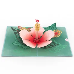 Women Lovepop Greeting Cards|Birthday|Hibiscus Bloom Pop-Up Card
