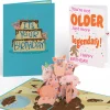 Lovepop Birthday|Hog Wild Birthday Pop-Up Card and Sentiment Set