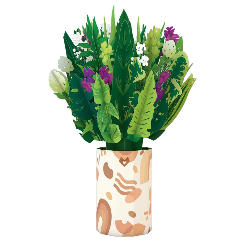 Lovepop Card & Gift Bundles|Birthday|Houseplant Birthday Bundle