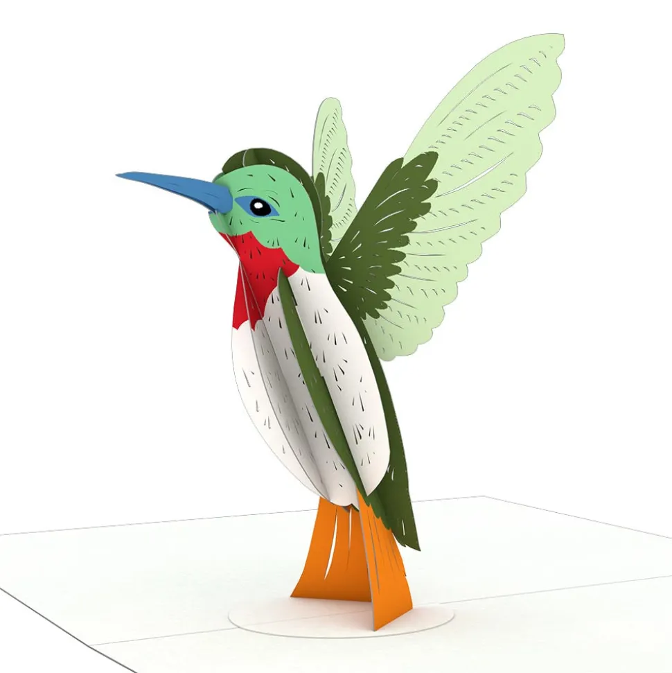 Lovepop Notecards|Get Well|Hummingbird Notecards (4-Pack)