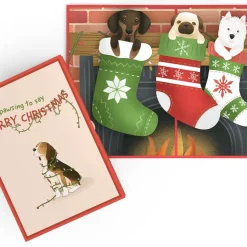 Lovepop Value Packs|Christmas 12/25|Jolly Christmas 5-Pack