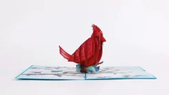 Lovepop Greeting Cards|Anniversary|Love Cardinal Pop-Up Card