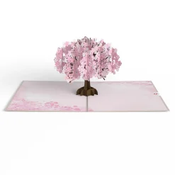 Lovepop Value Packs|Just Because|Lovely Blooms 3-Pack