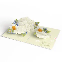 Lovepop Greeting Cards|Sympathy|May You Find Peace and Comfort Sympathy Pop-Up Card