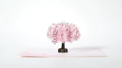 Lovepop Greeting Cards|Mother'S Day 5/11|Mother's Day Cherry Blossom Classic Pop-Up Card