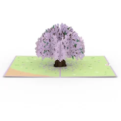Lovepop Value Packs|Mother'S Day 5/11|Mother's Day in Bloom 5-Pack