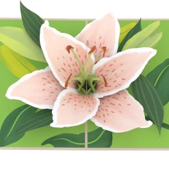 Lovepop Greeting Cards|Mother'S Day 5/11|Mother's Day Lily Bloom Pop-Up Card