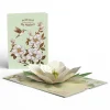 Lovepop Greeting Cards|Mother'S Day 5/11|Mother’s Day Magnolia Pop-Up Card