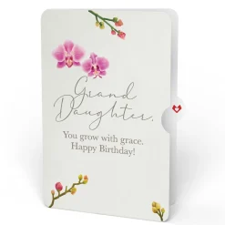 Lovepop Pop-Up Bouquets|Orchid Birthday Bouquet and Sentiment Set for Granddaughter