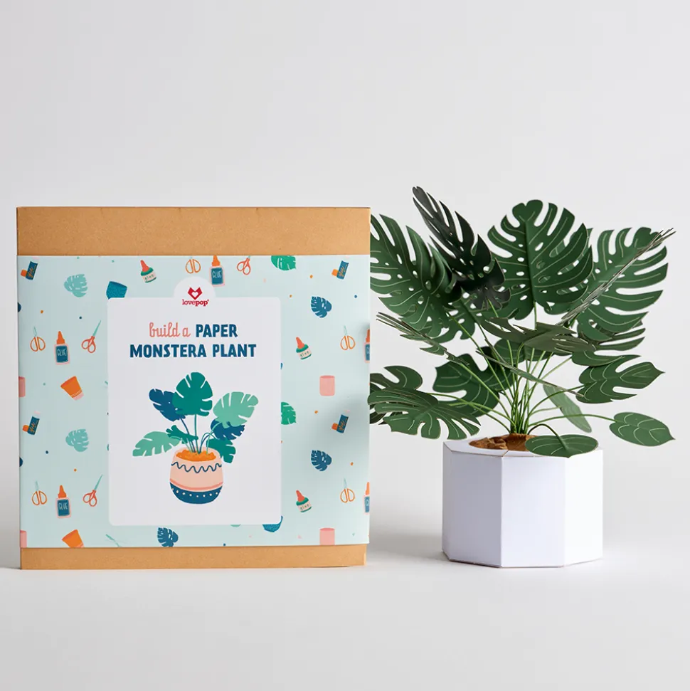 Lovepop Pop-Up Bouquets|Handcrafted Paper Flowers|Paper Monstera Plant DIY Kit