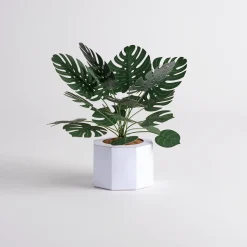 Lovepop Pop-Up Bouquets|Handcrafted Paper Flowers|Paper Monstera Plant DIY Kit