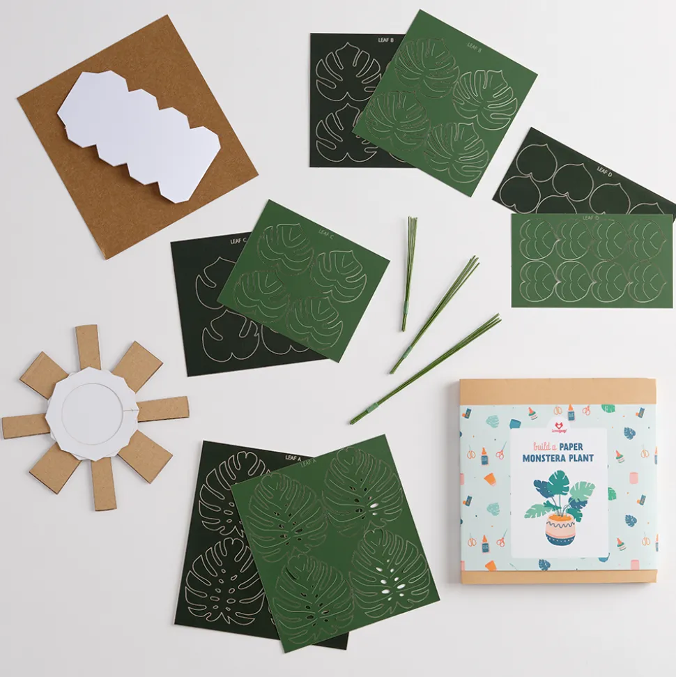 Lovepop Pop-Up Bouquets|Handcrafted Paper Flowers|Paper Monstera Plant DIY Kit