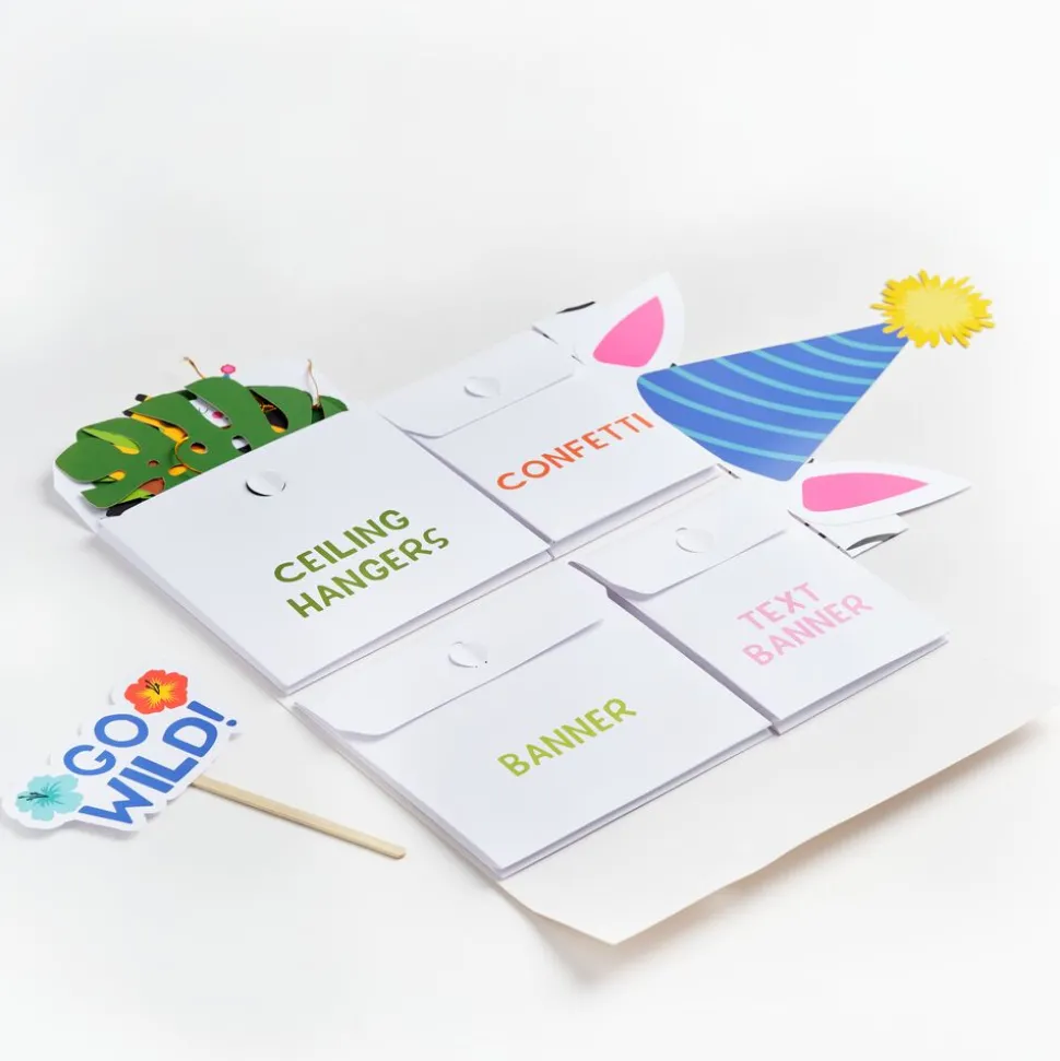Kids Lovepop Birthday|Kids|Party Animals Birthday Party Kit