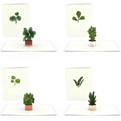 Lovepop Notecards|Just Because|Plants Notecards (Assorted 4-Pack)