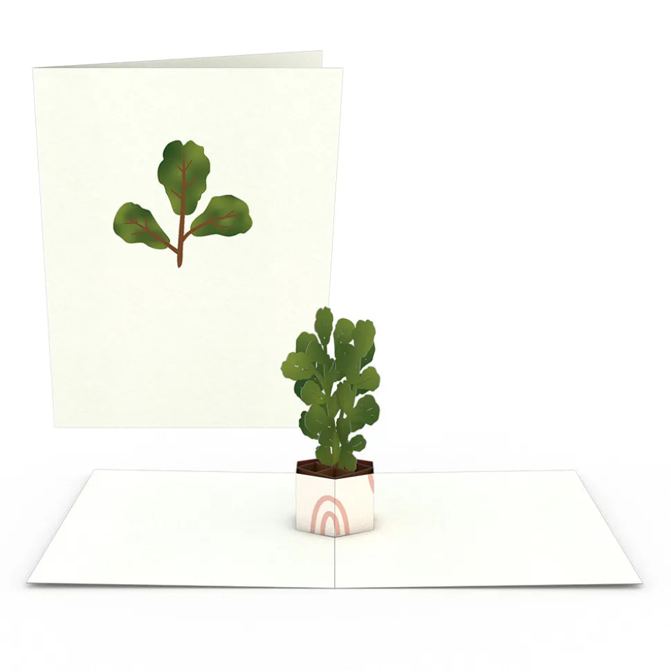Lovepop Notecards|Just Because|Plants Notecards (Assorted 4-Pack)
