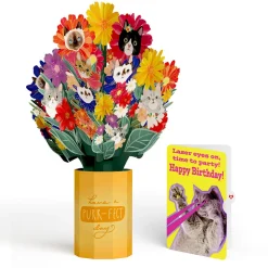 Lovepop Pop-Up Bouquets|Purr-fect Cat Birthday Bouquet and Cat Laser Eyes Sentiment Set