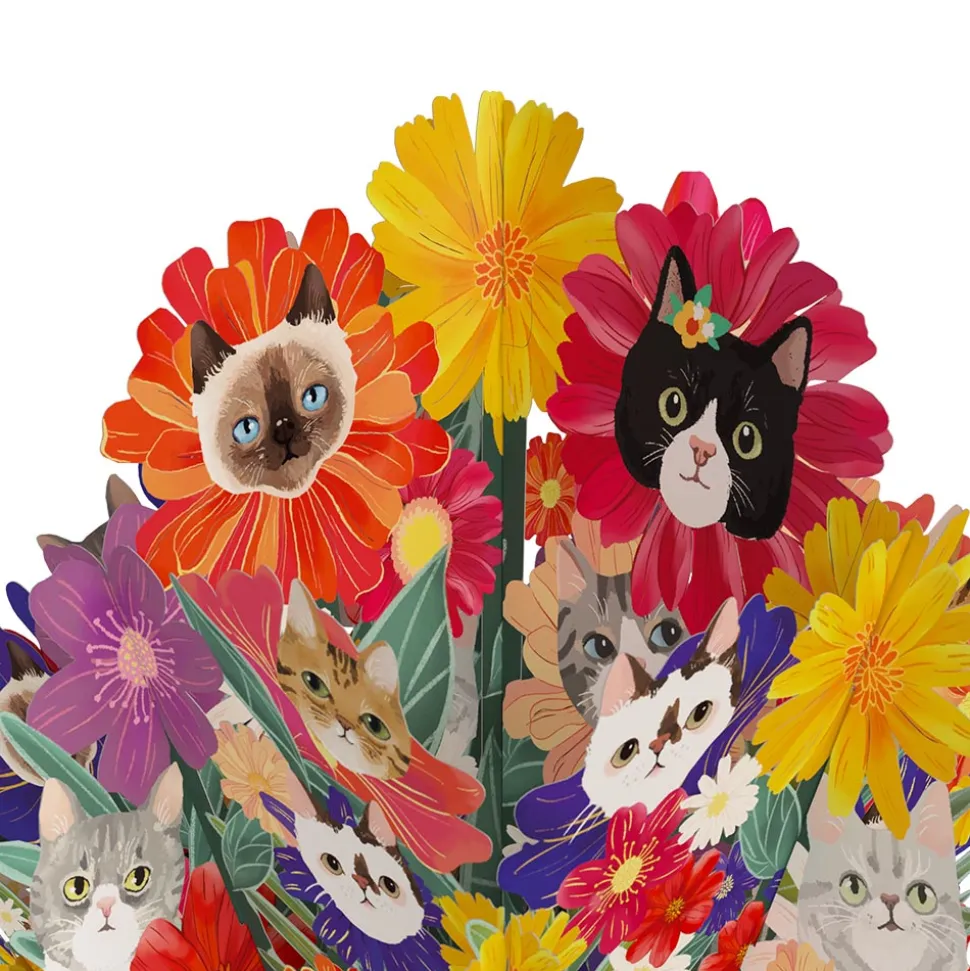 Lovepop Pop-Up Bouquets|Purr-fect Cat Birthday Bouquet and Space Laser Cats Sentiment Set